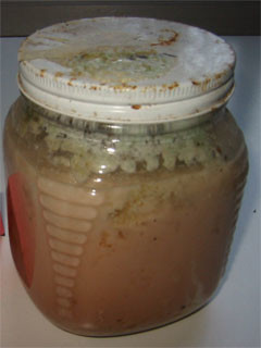 A Million Little Gross Jars