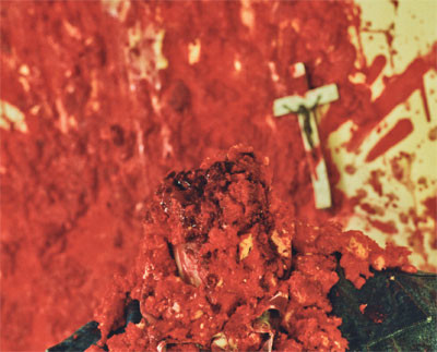 Hardcore Gore-Nography