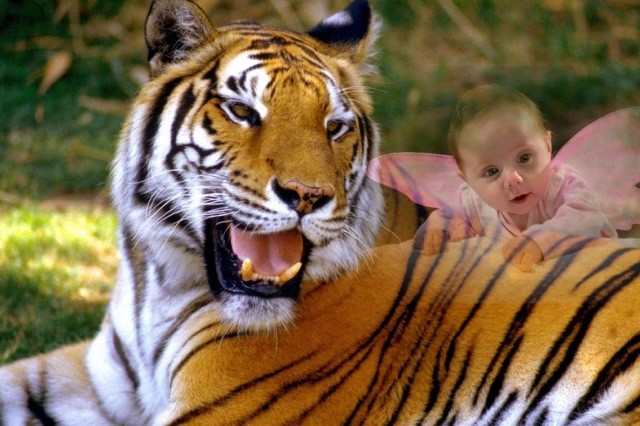 Я не “въезжаю” в искусство фотографии