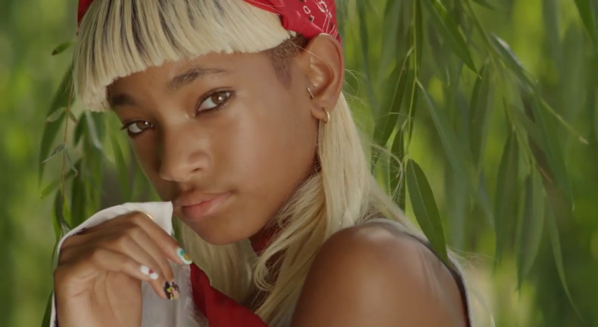 Zehn Dinge, die Willow Smith in ihrer neuen Single besingt, rein rechtlich aber noch gar nicht darf