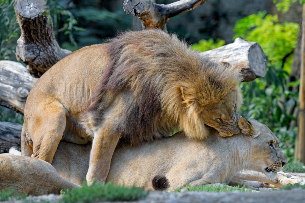 Μιλήσαμε με τον Άνδρα που Είναι Ερωτευμένος με την Αδερφή του εδώ και 20 Χρόνια