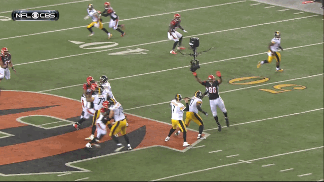 The Bengals could have actually won this game.