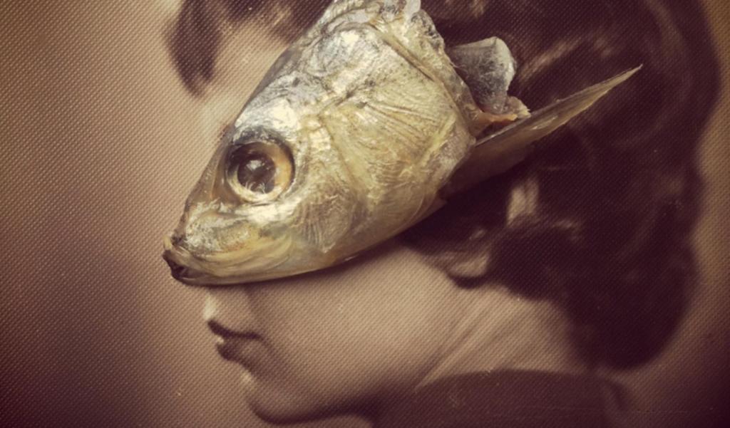 Trójwymiarowe kolaże ze starych zdjęć, rybich głów i popcornu