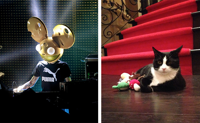 Deadmau5 ha fatto causa a una donna per conto del suo gatto