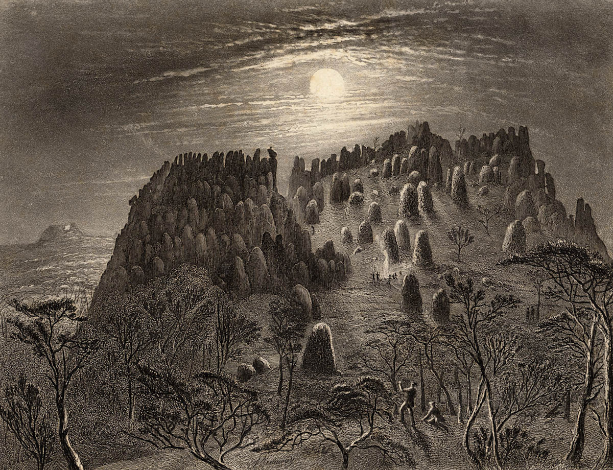 1486079620644-blandowski2