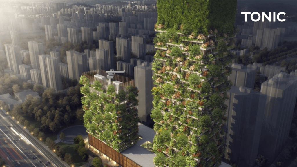 China Membangun ‘Hutan Vertikal’ Untuk Atasi Polusi Udara