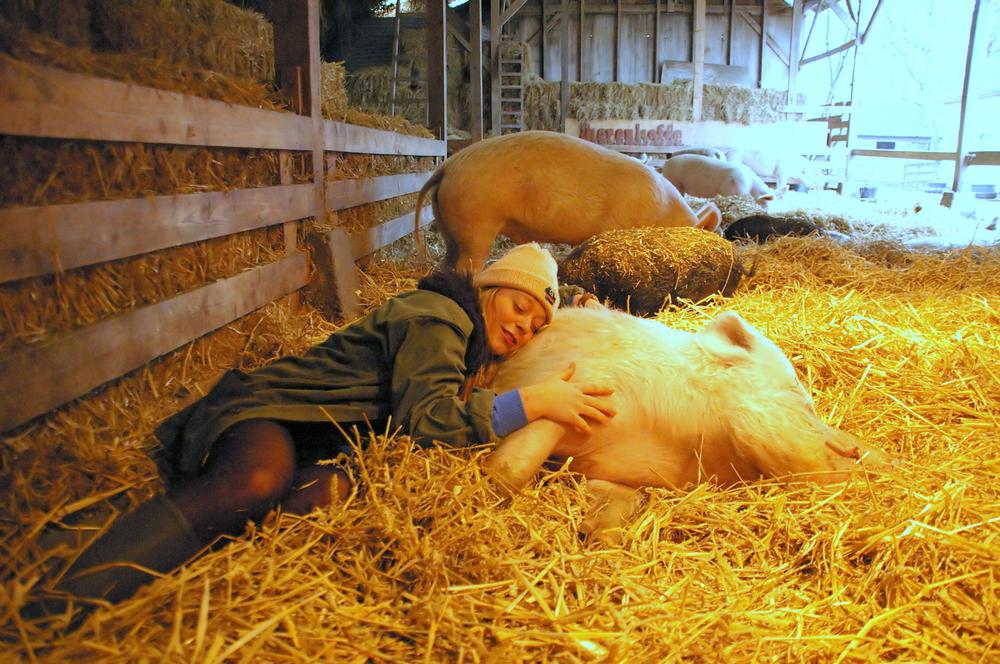 Domovy důchodců pro zvířata