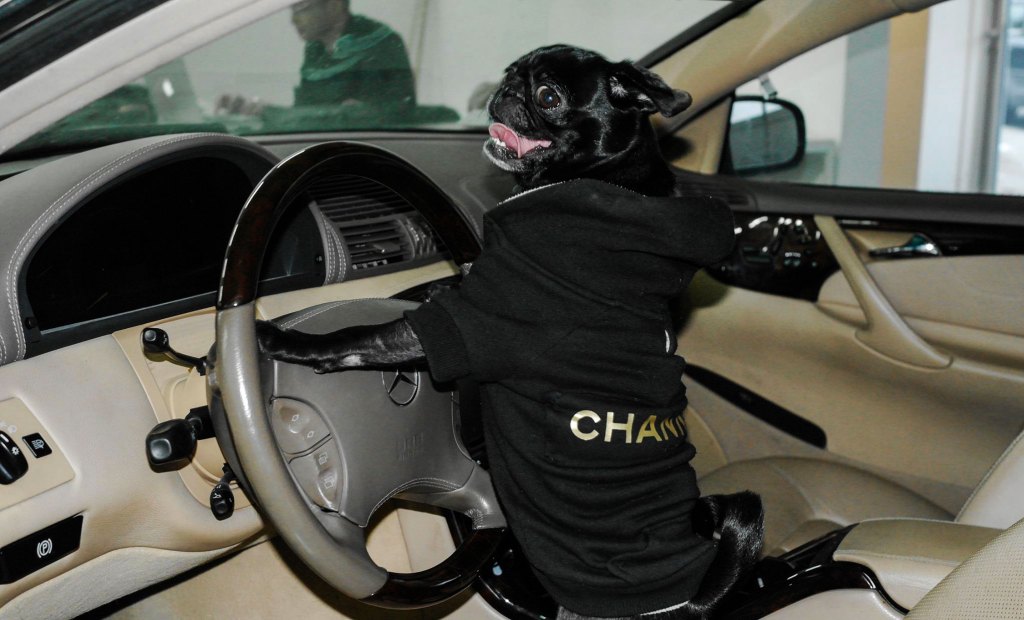 Get Familiar with Toronto’s DIY Experimental Community Through This New Compilation