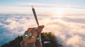 Το #Weed_Porn Συναντά το #Nature_Porn σε Αυτόν τον Λογαριασμό στο Instagram