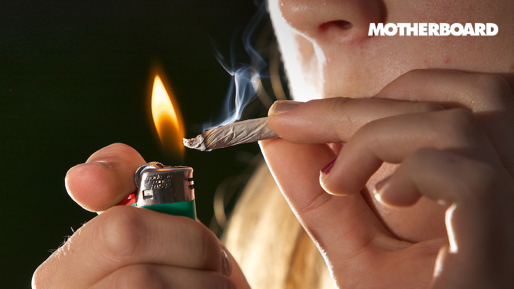 Banned Pesticides Keep Turning Up in Canada’s Medical Weed