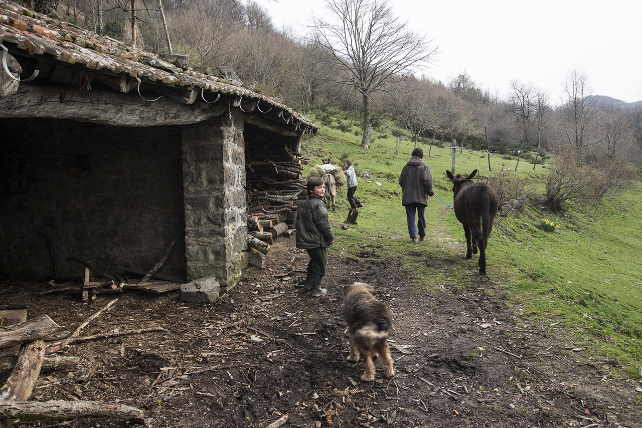 valle degli elfi.jpeg