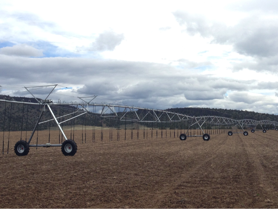 Conservation and Conservatism on America’s Farms