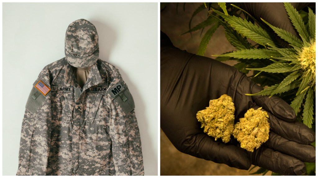 Free Marijuana Would Save Veterans From Deadly Opioids