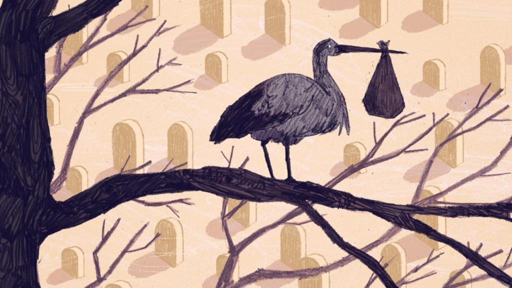 Piccole lapidi: nel cimitero mormone per i bambini nati dall’incesto