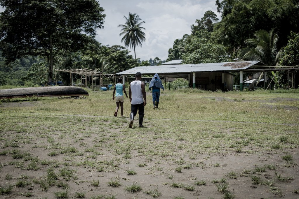 Le dilemme des cultivateurs colombiens de coca : la prison ou la misère