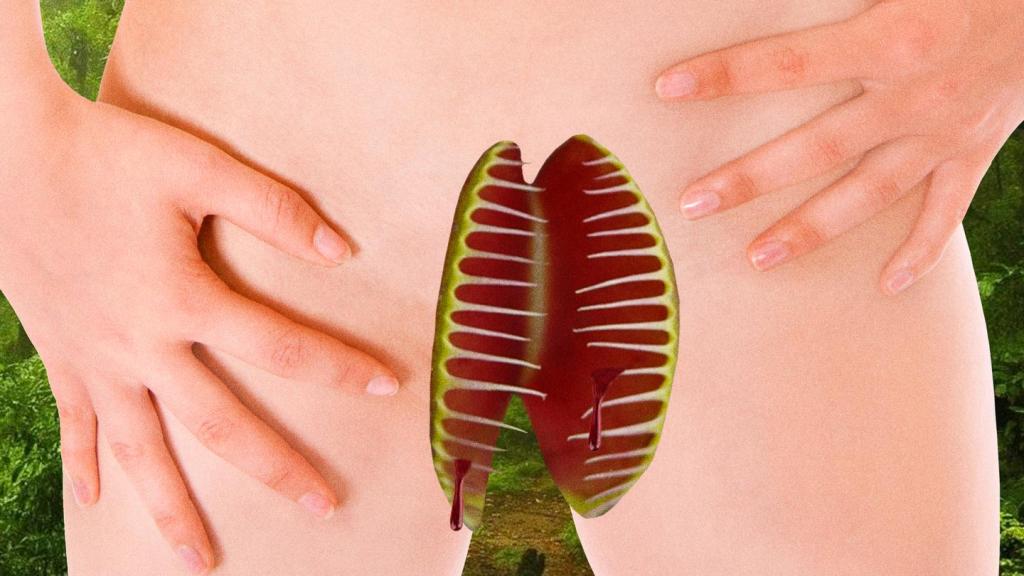 El coño contraataca: diez mitos de la ‘vagina dentata’