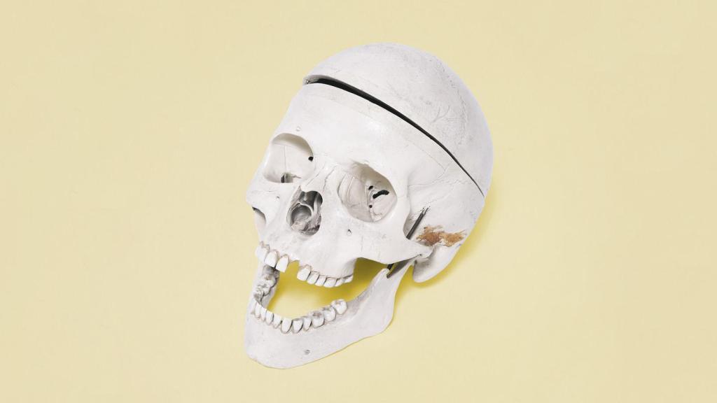 Fotos de cosas raras encontradas en el transporte público