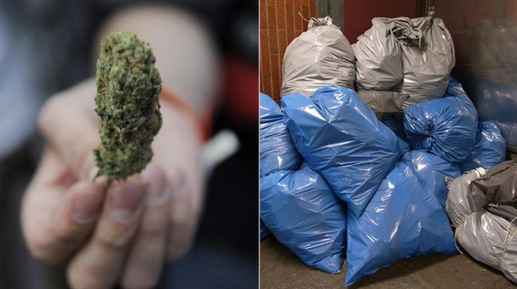 Folk får gratis weed i Maine för att samla upp skräp