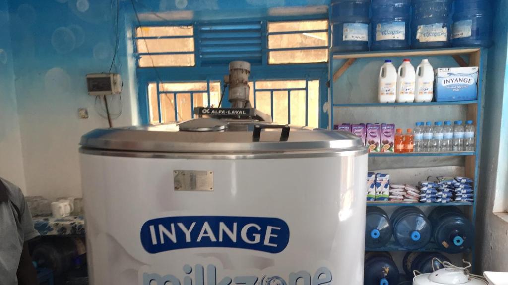 Cerita Unik Dari Menjamurnya Kedai Susu di Rwanda