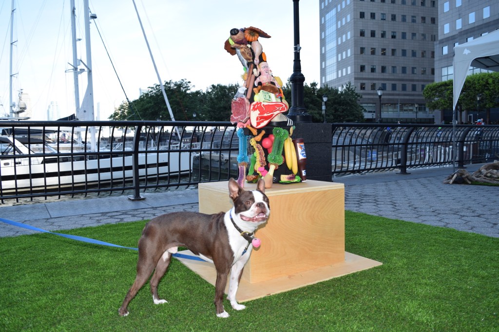 Een superschattig verslag van dOGUMENTA, de Documenta voor honden