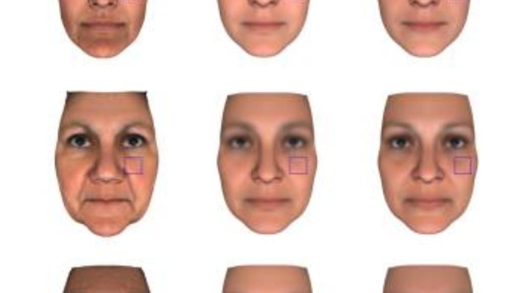 Peut-on vraiment reconstituer un visage à partir d’un échantillon ADN ?