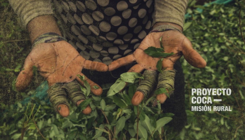 EDITORIAL | Proyecto COCA: un drama local, una guerra global