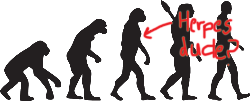 1508979387767-herpes-chimps-sti-std-evolution