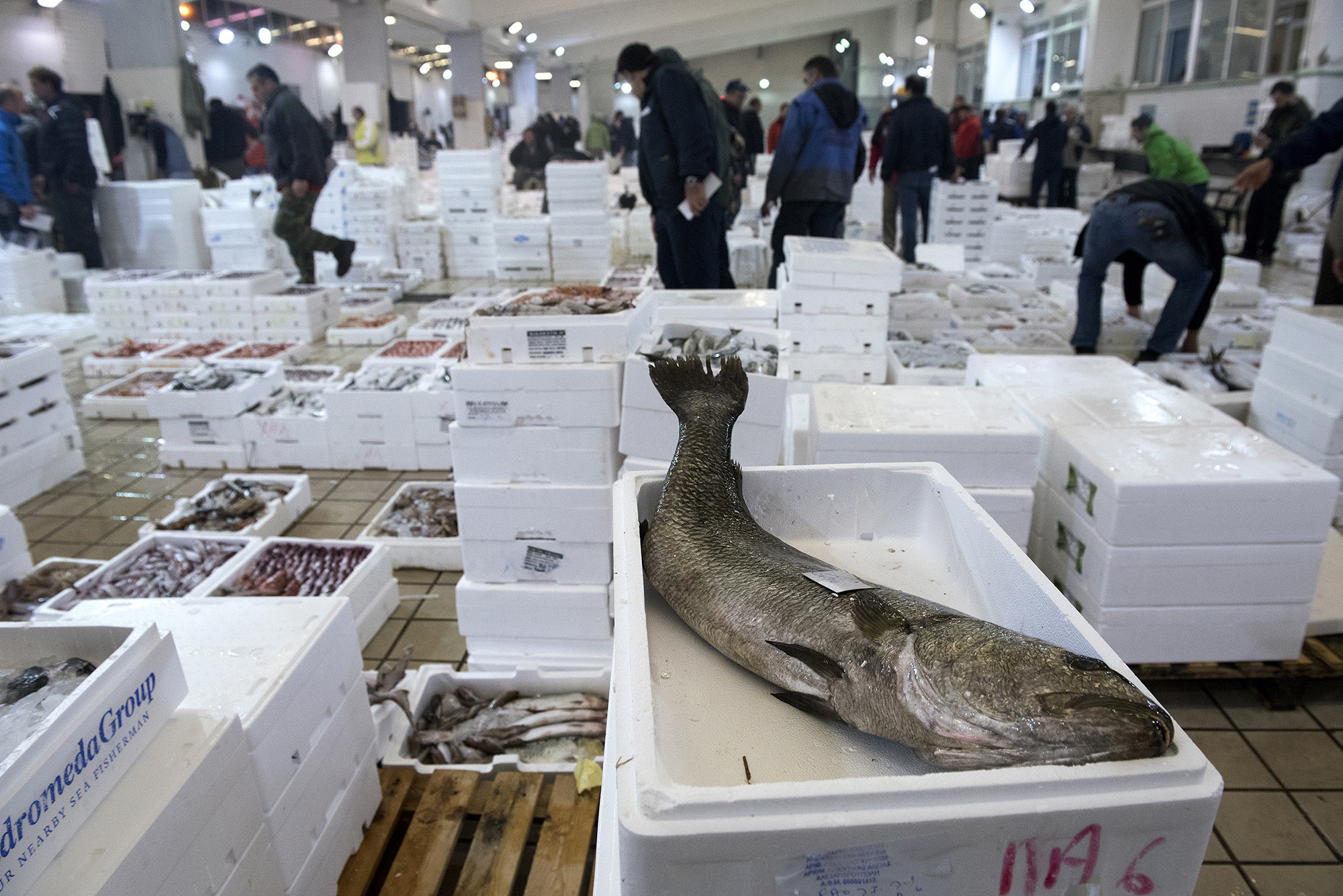 1511785282132-_DSC0032