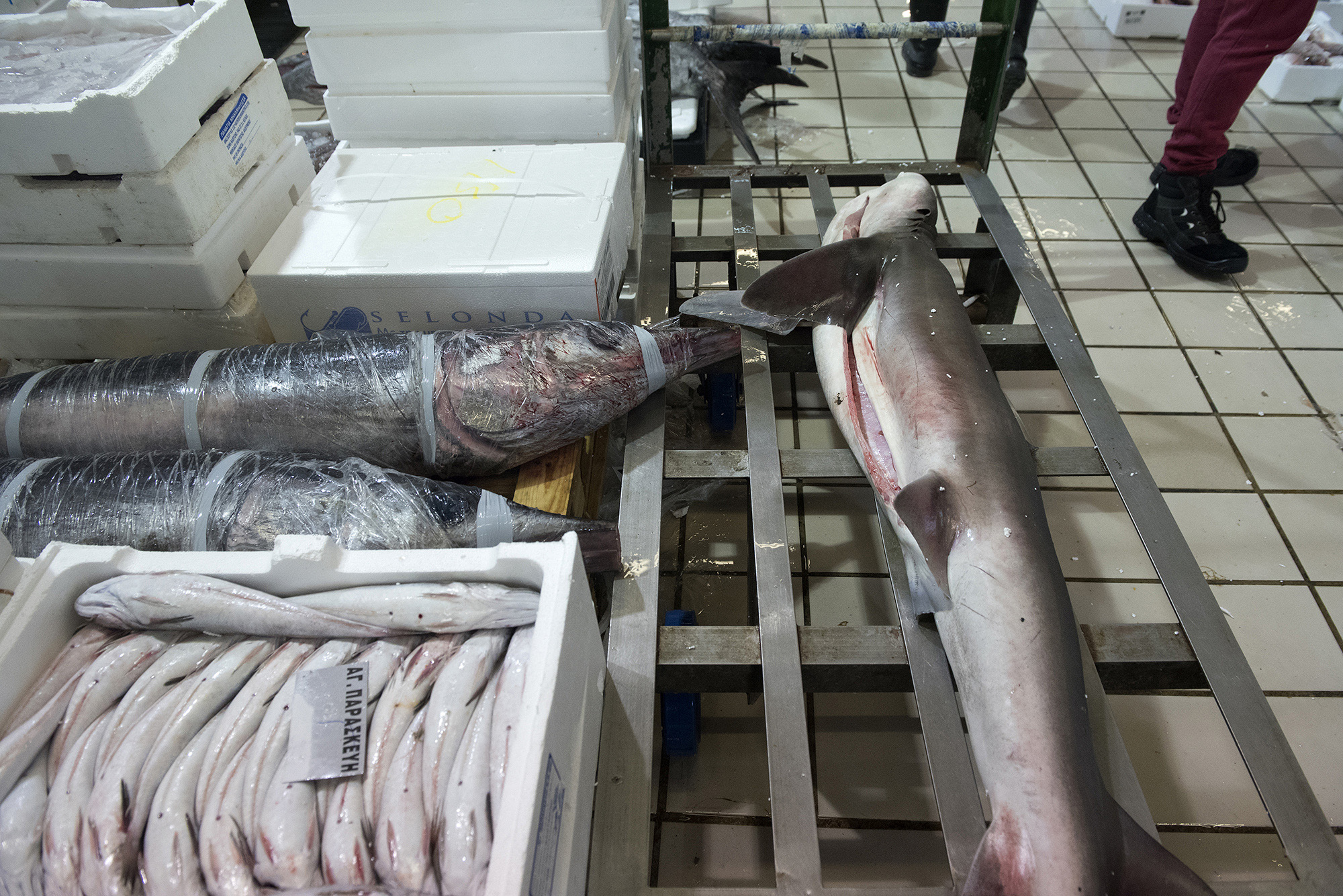 1511785564013-_DSC0042