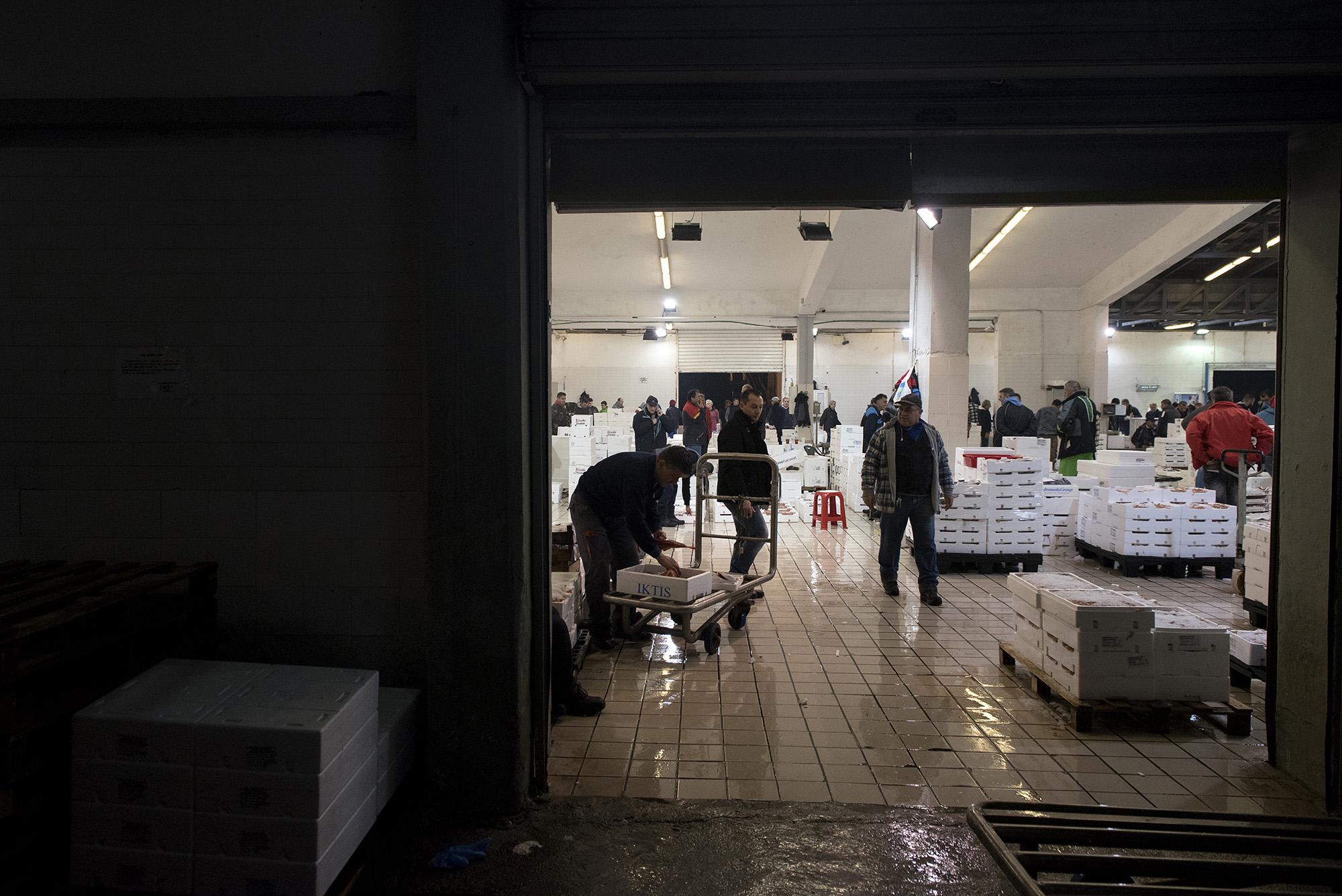 1511785663775-_DSC0113