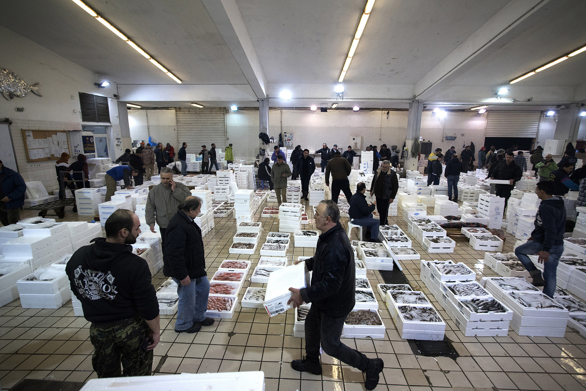 1511785670486-_DSC0286