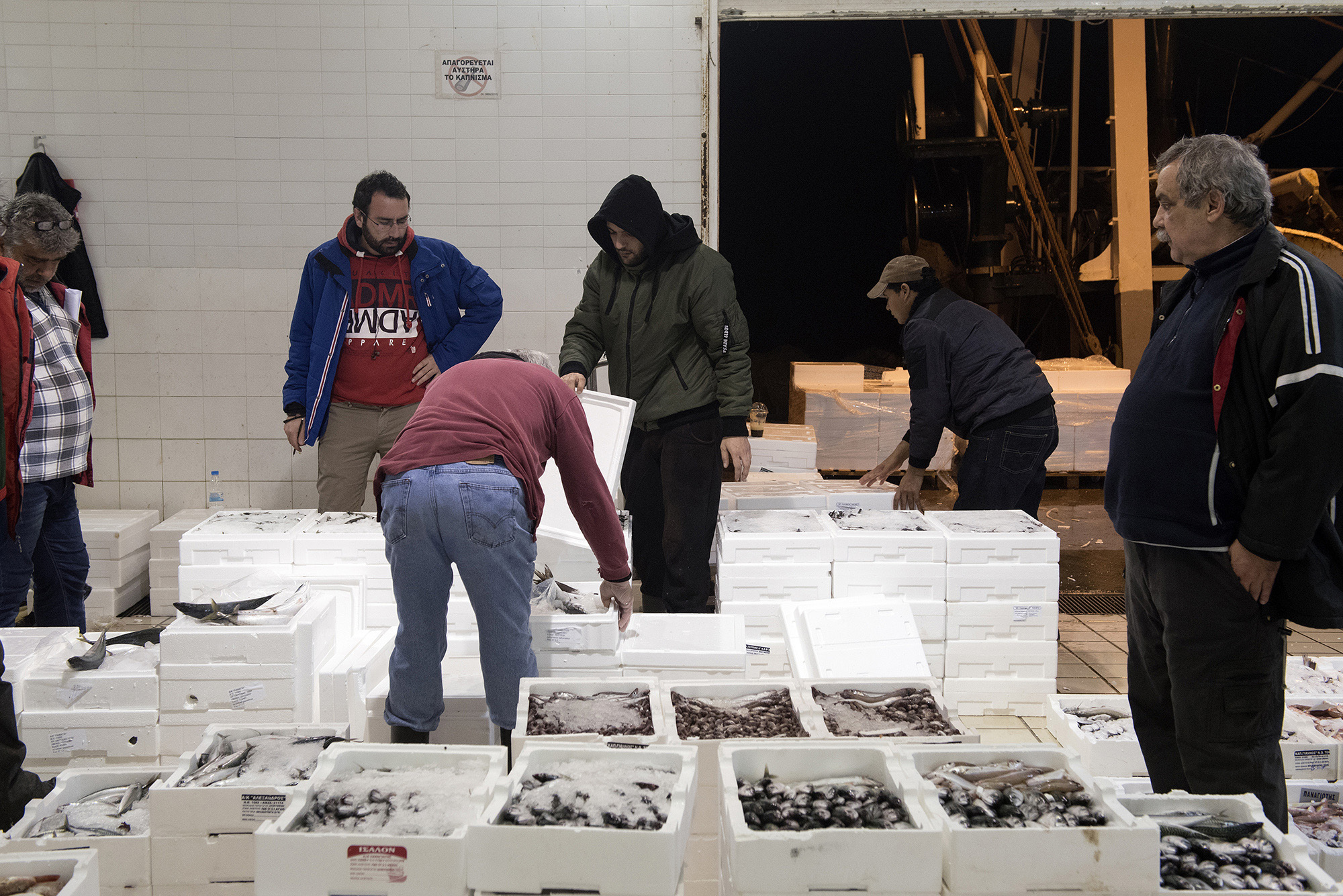 1511785671177-_DSC0315