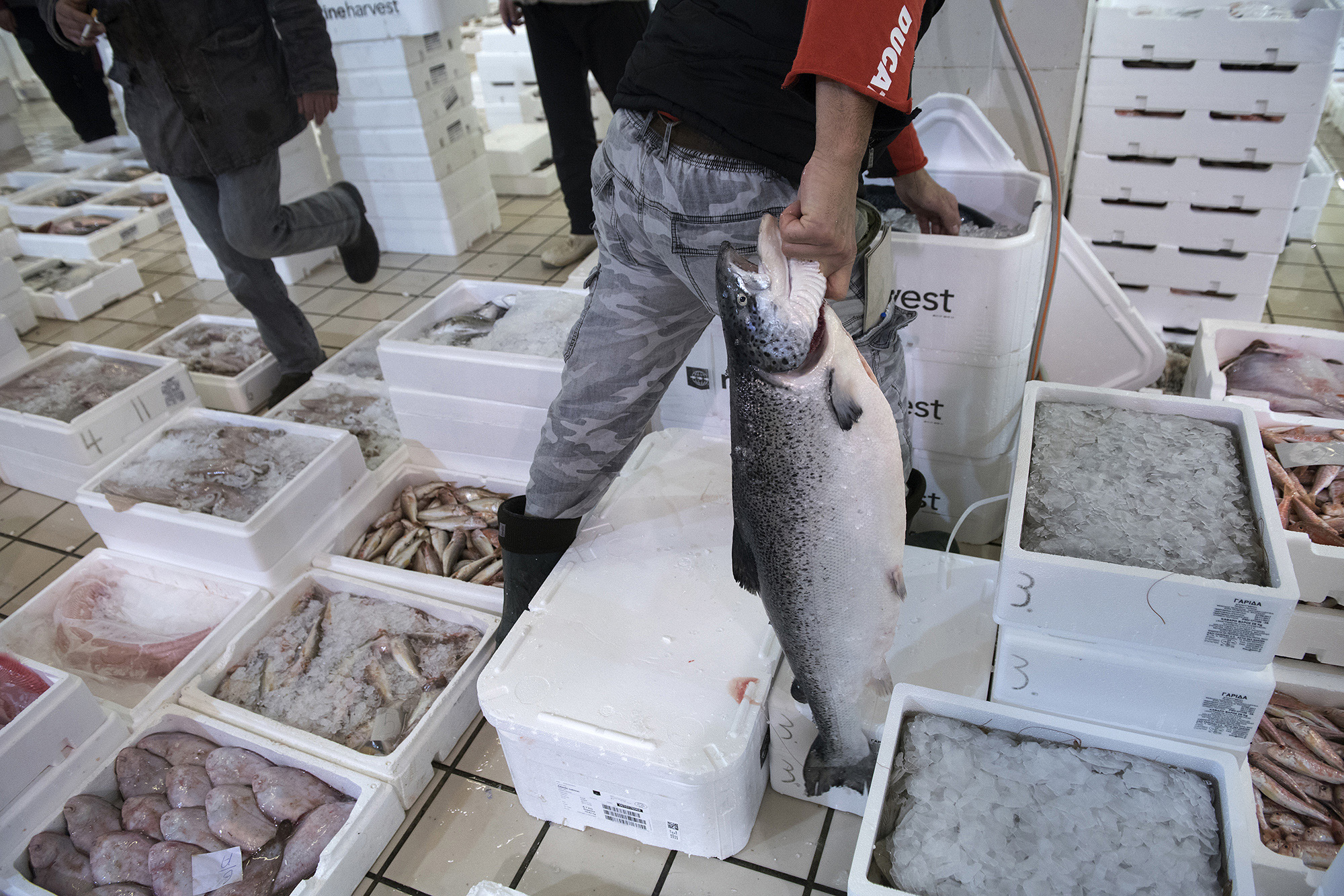 1511785671425-_DSC0206