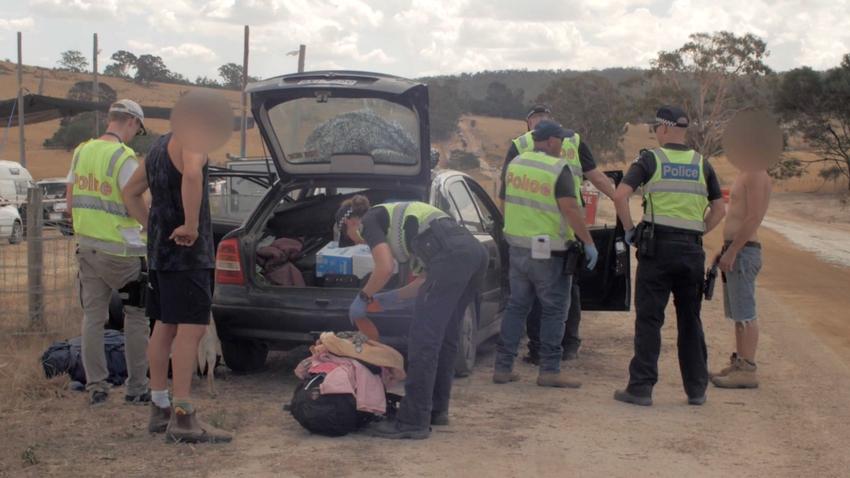 De ce nu ajută la nimic câinii polițiști de la festivaluri