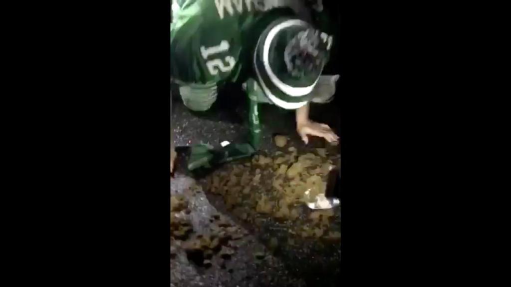 Los fans de los Eagles celebran comiendo excremento de caballo después del Super Bowl
