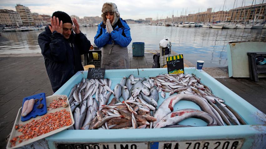 Peștele care te face să te tripezi ca pe ciuperci