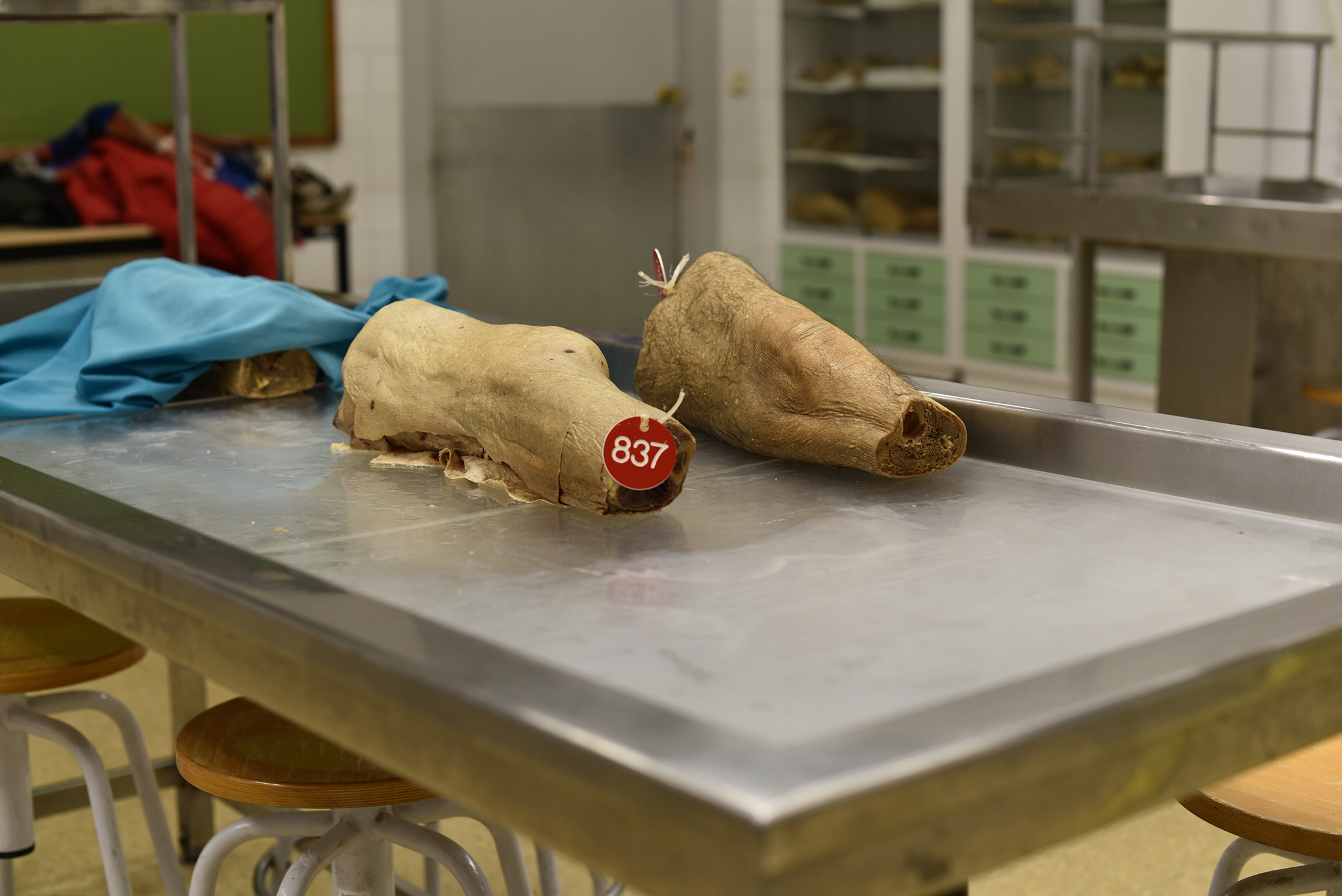 Qué pasa cuando donas tu cuerpo a la ciencia en España