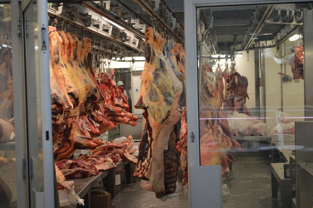 Trump’s Biggest ICE Raid So Far Reveals Vulnerability of Immigrants in Meat Industry