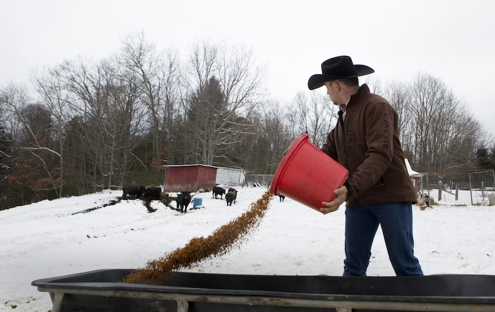 1523901803823-West-Virginia_02