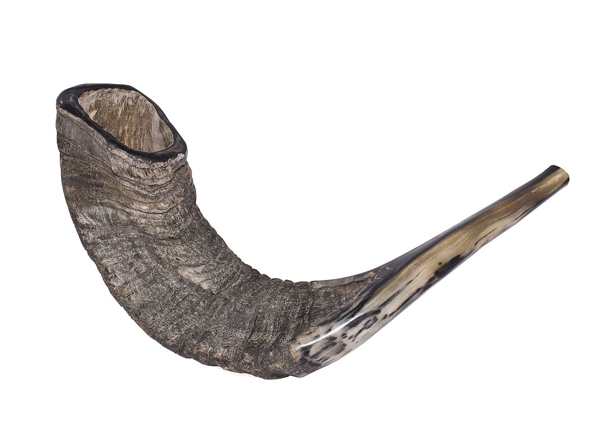 1531323908861-shofar