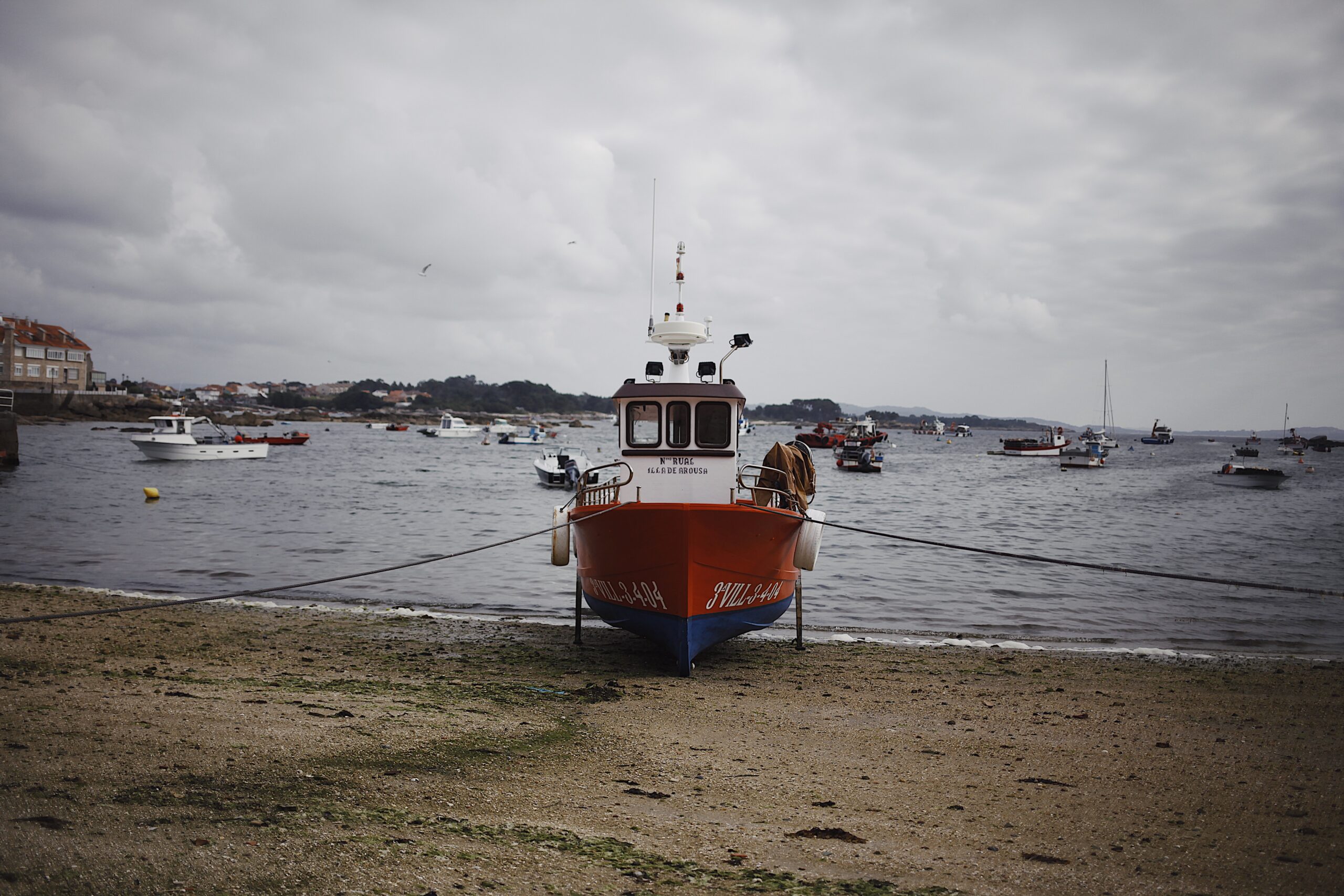 isla de arousa galicia turismo trabajo jovenes