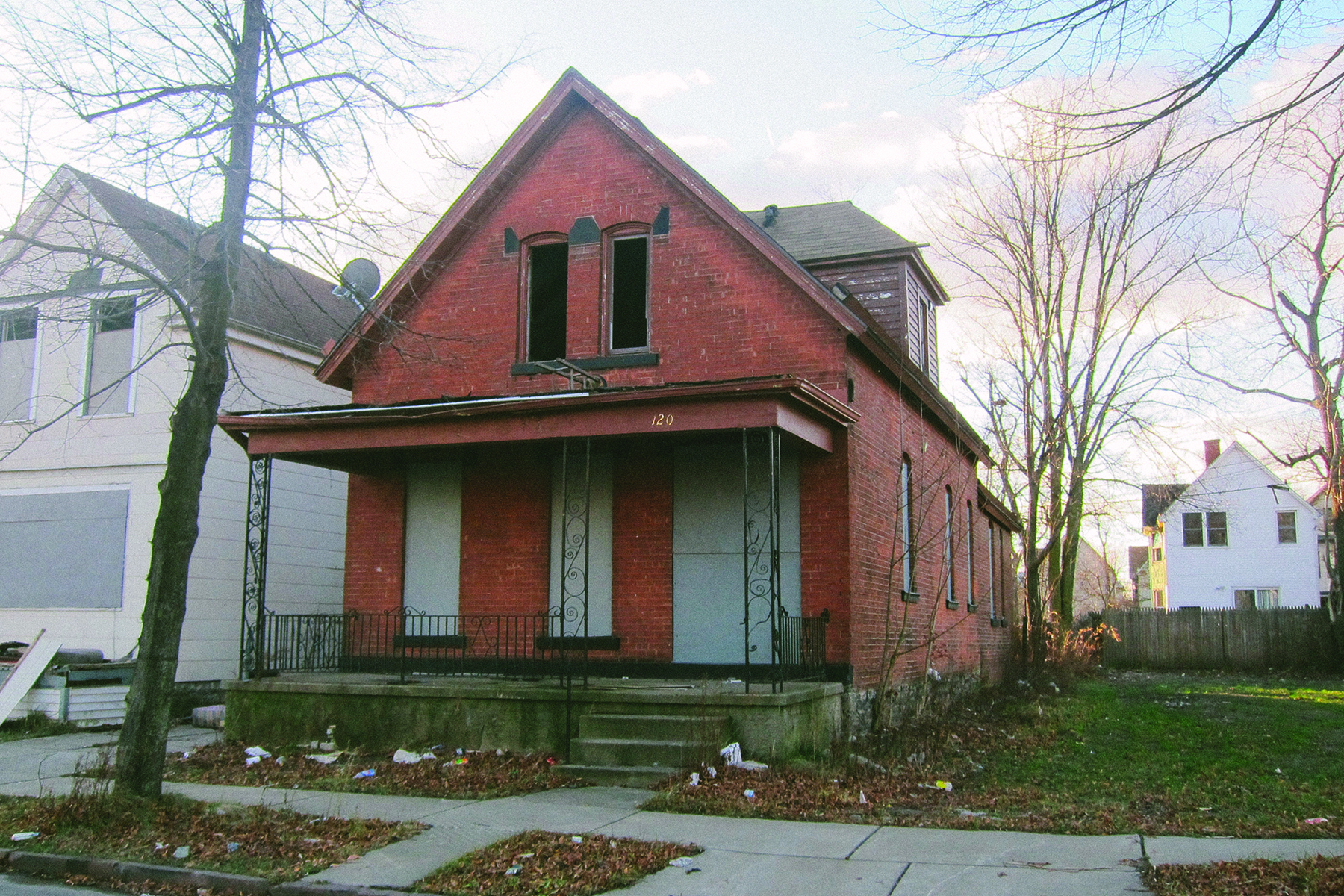 1538769305918-buffalo2_300