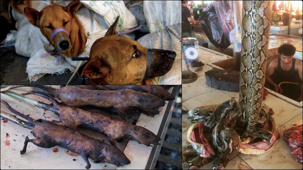 Τα Σκυλιά Δεν Είναι το πιο Παράξενο Πράγμα στο Μενού Αυτών των Κρεαταγορών