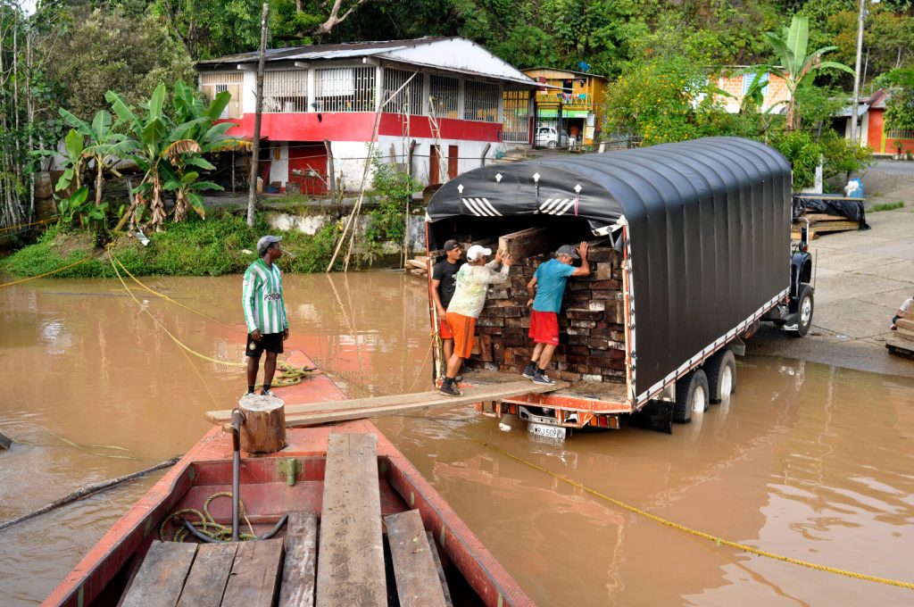 «750 millones de dólares anuales»: Así funciona el tráfico de madera ilegal en Colombia