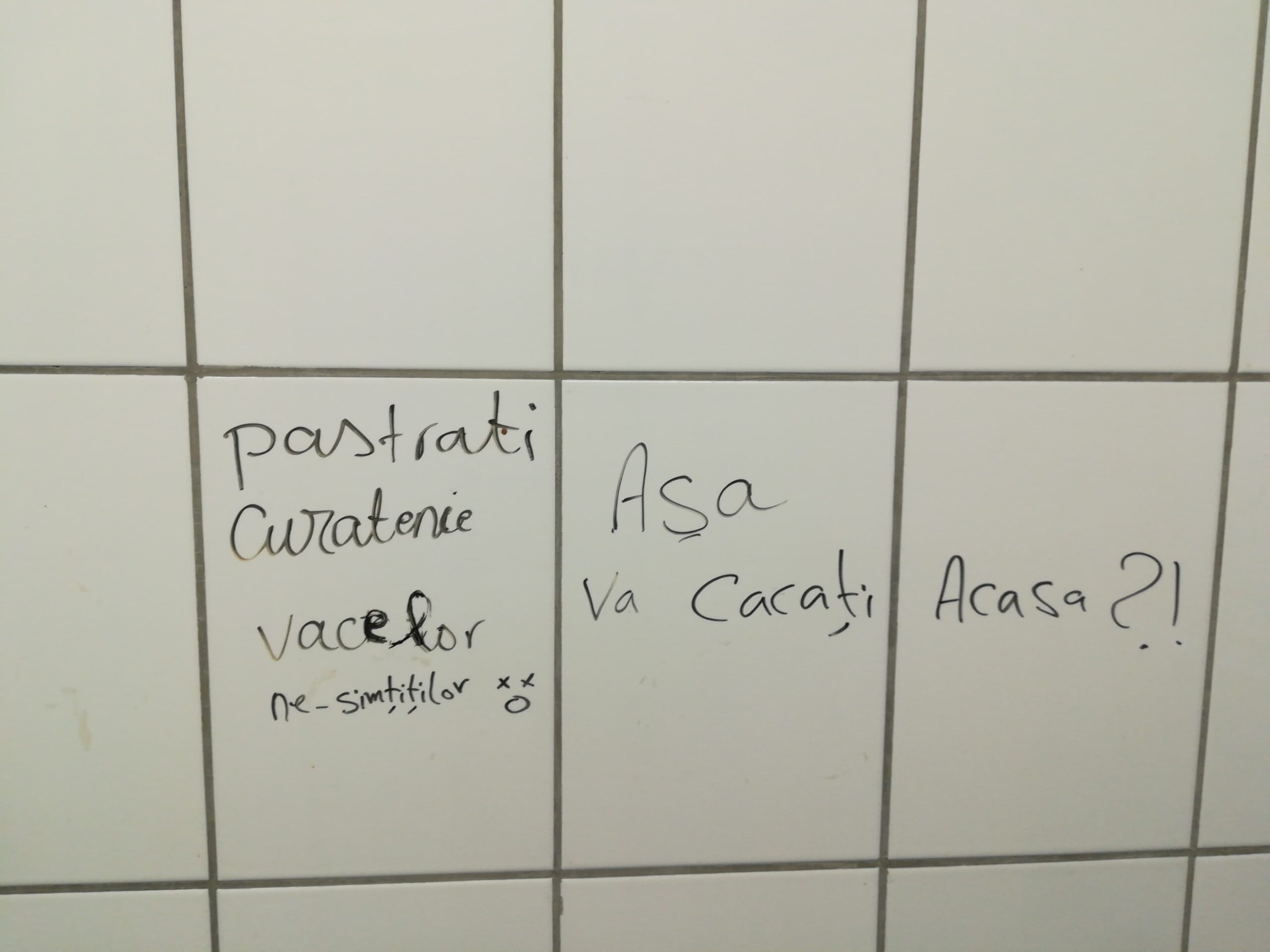 mesaje din WC