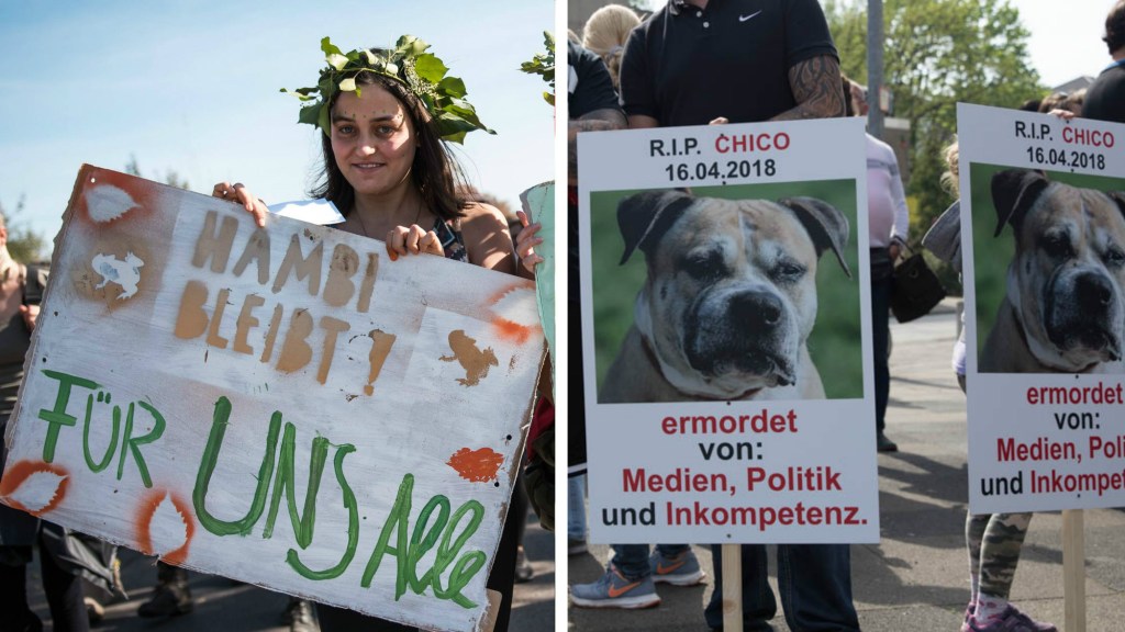 Links hält eine Frau ein Transparent für den Hambi, rechts ein Mann ein Plakat für den Hund Chico.