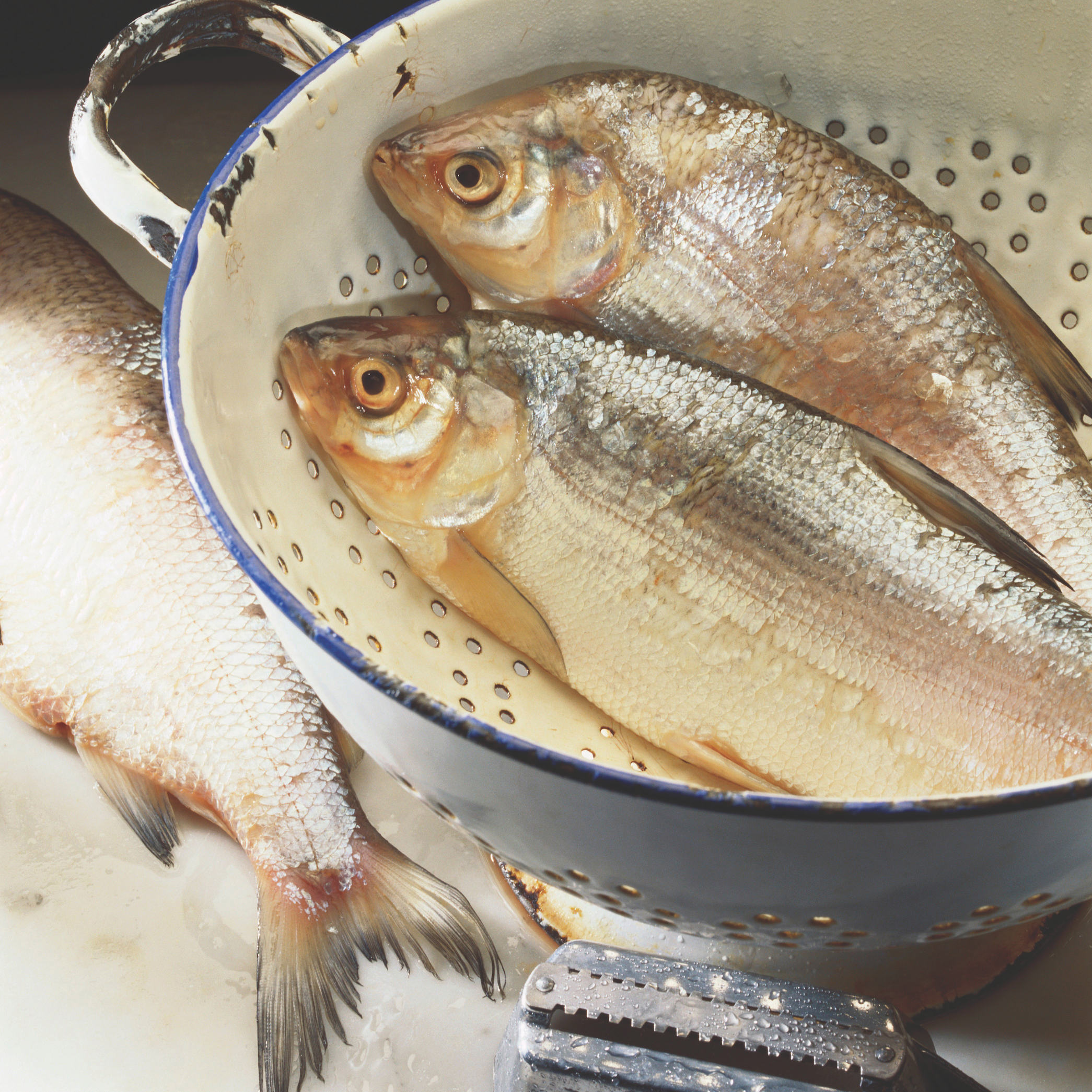 1539806898430-ShipToShore_Vice_008