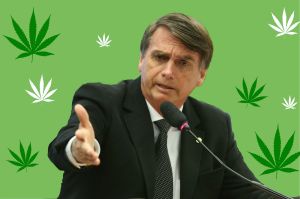 Maconheiro conservador: empresário canábico declara apoio a Bolsonaro