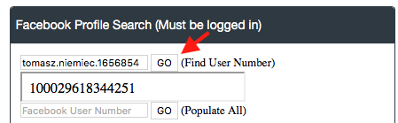 Screenshot des OSINT Search Tool