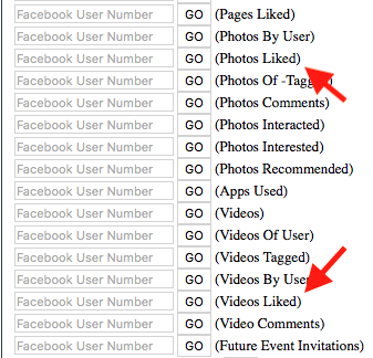 Screenshot von OSINT Search Tool